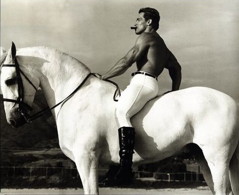 Arnold Schwarzenegger. The Equestrian 10039-arnold-schwarzenegger--the-equestrian.jpg