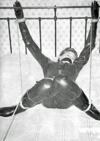 vintage hogtied 10328-vintage-hogtied.jpg