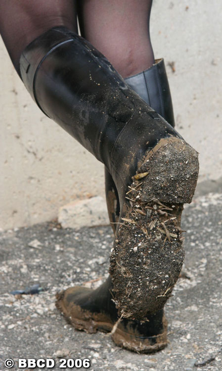 Re: Muddy Riding Boots 104-re--muddy-riding-boots.jpg