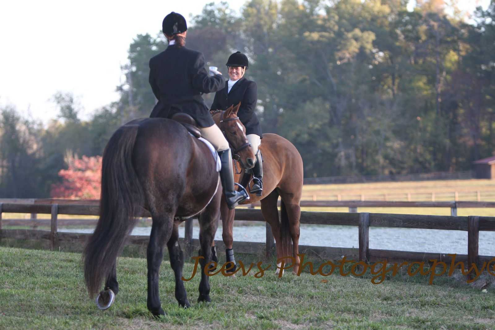 laughing in the paddock 10607-laughing-in-the-paddock.jpg