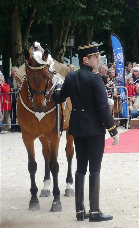 Re: Men in tall boots. Cadre Noir 10693-re--men-in-tall-boots--cadre-noir.jpg