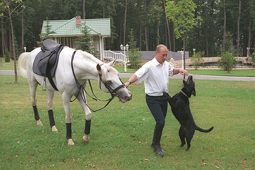 Re: Men in tall boots. Mr Putin 10708-re--men-in-tall-boots--mr-putin.jpg