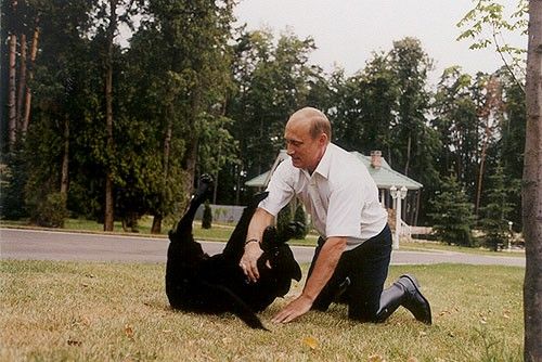 Re: Men in tall boots. Mr Putin 10710-re--men-in-tall-boots--mr-putin.jpg