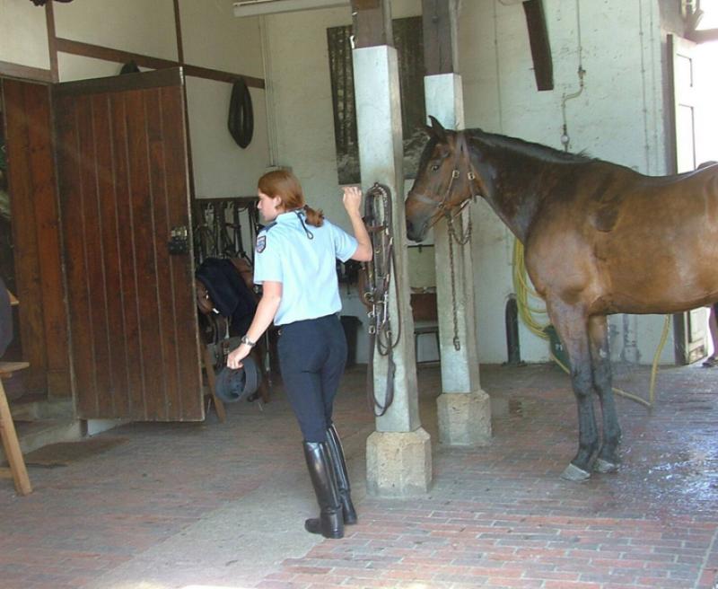 mounted female cop 10747-mounted-female-cop.jpg