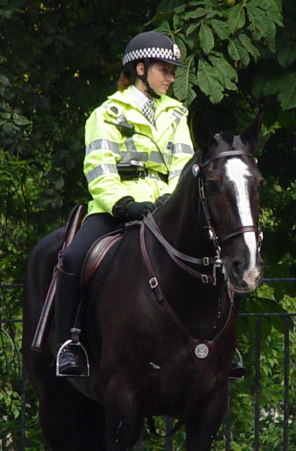 Re: policewomen uk 11145-re--policewomen-uk.jpg