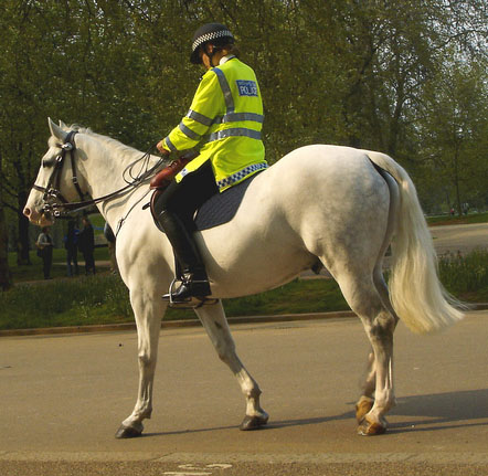 Re: policewomen uk 11151-re--policewomen-uk.jpg