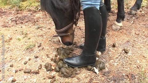 Re: andys idea of ridingboots 11175-re--andys-idea-of-ridingboots.jpg