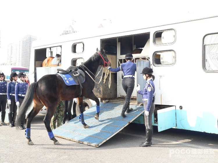 MOUNTED CHINESE POLICE 11211-mounted-chinese-police.jpg