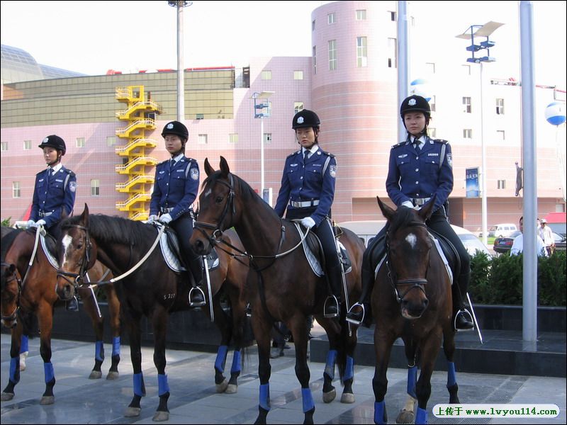 Re: MOUNTED CHINESE POLICE 11239-re--mounted-chinese-police.jpg