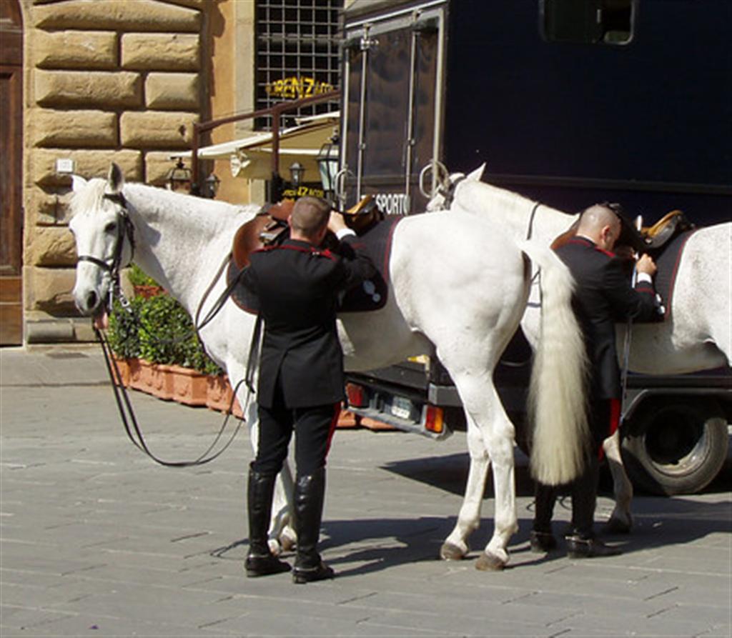 Re: Men in tall boots. Carabinieri 11294-re--men-in-tall-boots--carabinieri.jpg