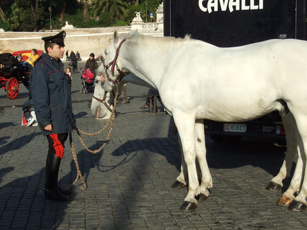 Re: Men in tall boots. Carabinieri 11297-re--men-in-tall-boots--carabinieri.jpg