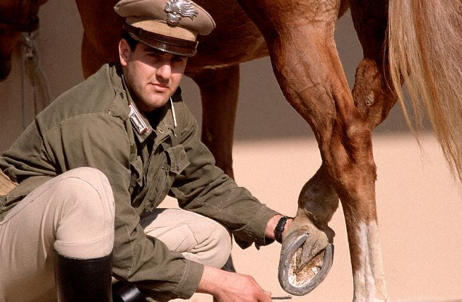 Re: Men in tall boots. Carabinieri 11298-re--men-in-tall-boots--carabinieri.jpg