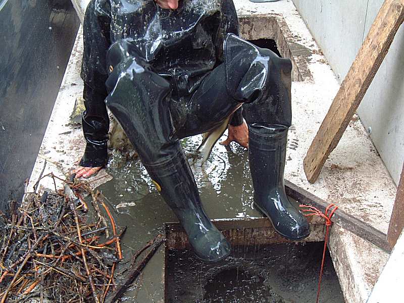 Re: filthy in waders 1155-re--filthy-in-waders.jpg