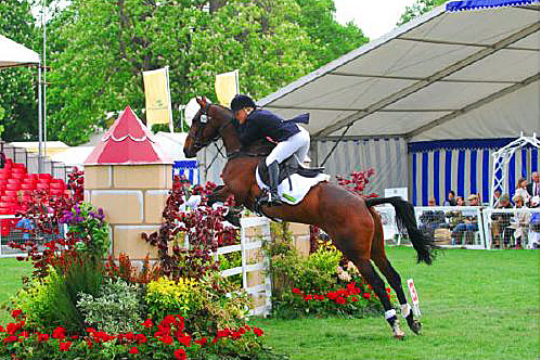 Show Jumping 1209-show-jumping.jpg