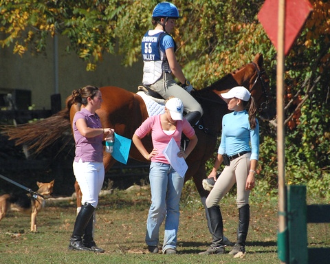 Re: just loves her saddle 12202-re--just-loves-her-saddle.jpg