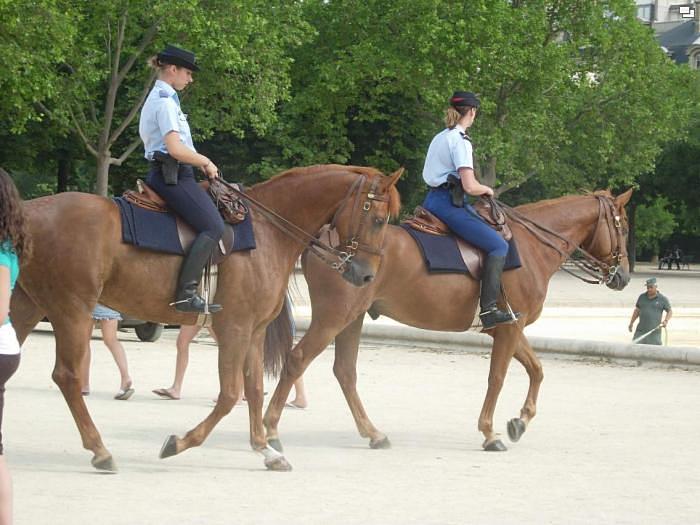 french police 12358-french-police.jpg