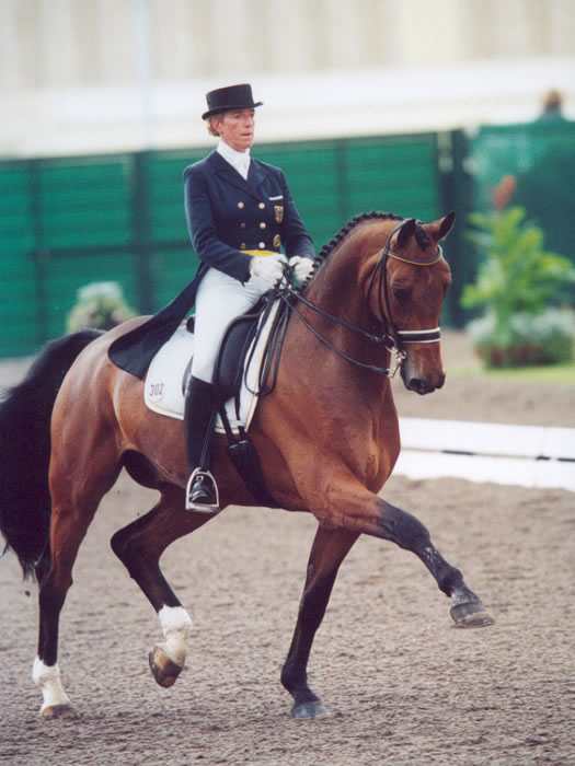 Dressage 1240-dressage.jpg