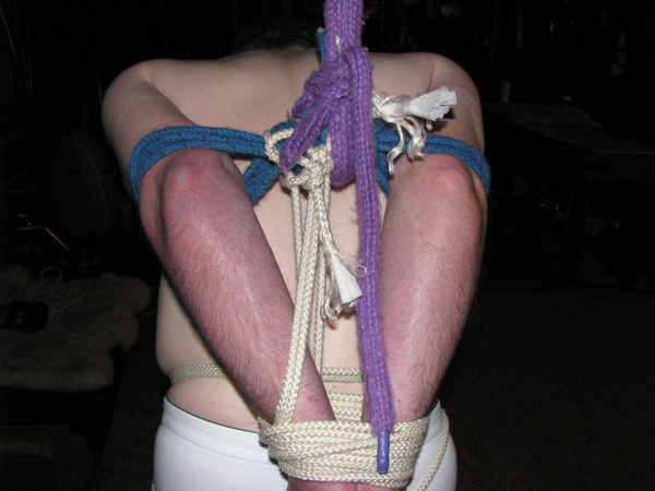 Re: more hog tied 12462-re--more-hog-tied.jpg