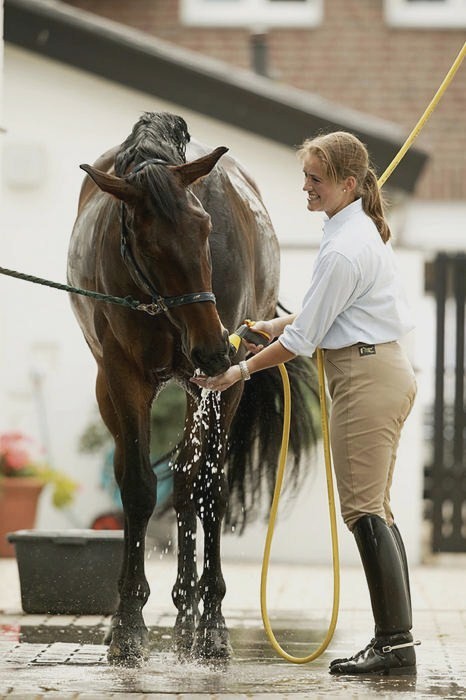 waters her horse 12515-waters-her-horse.jpg