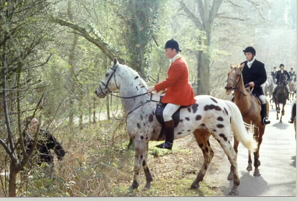 flushing a foxhunt protester 1328-flushing-a-foxhunt-protester.jpg