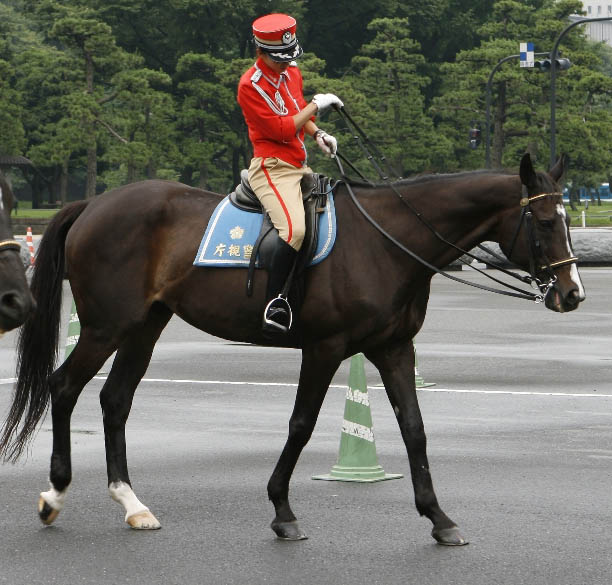 Re: policewomen from around the world 13364-re--policewomen-from-around-the-world.jpg