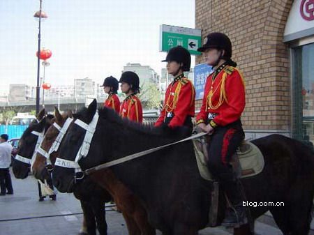 Re: policewomen from around the world 13373-re--policewomen-from-around-the-world.jpg