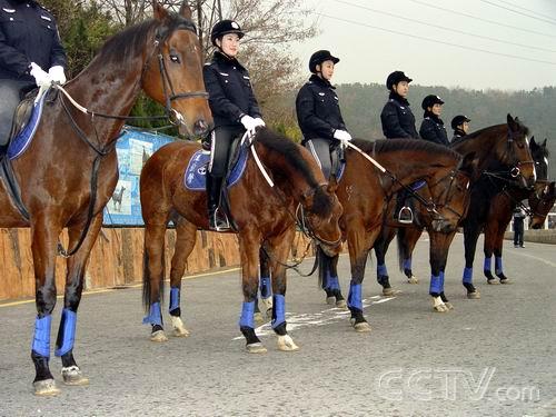 Re: policewomen from around the world 13384-re--policewomen-from-around-the-world.jpg