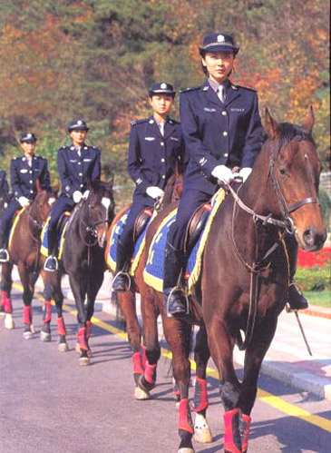 Re: policewomen from around the world 13387-re--policewomen-from-around-the-world.jpg