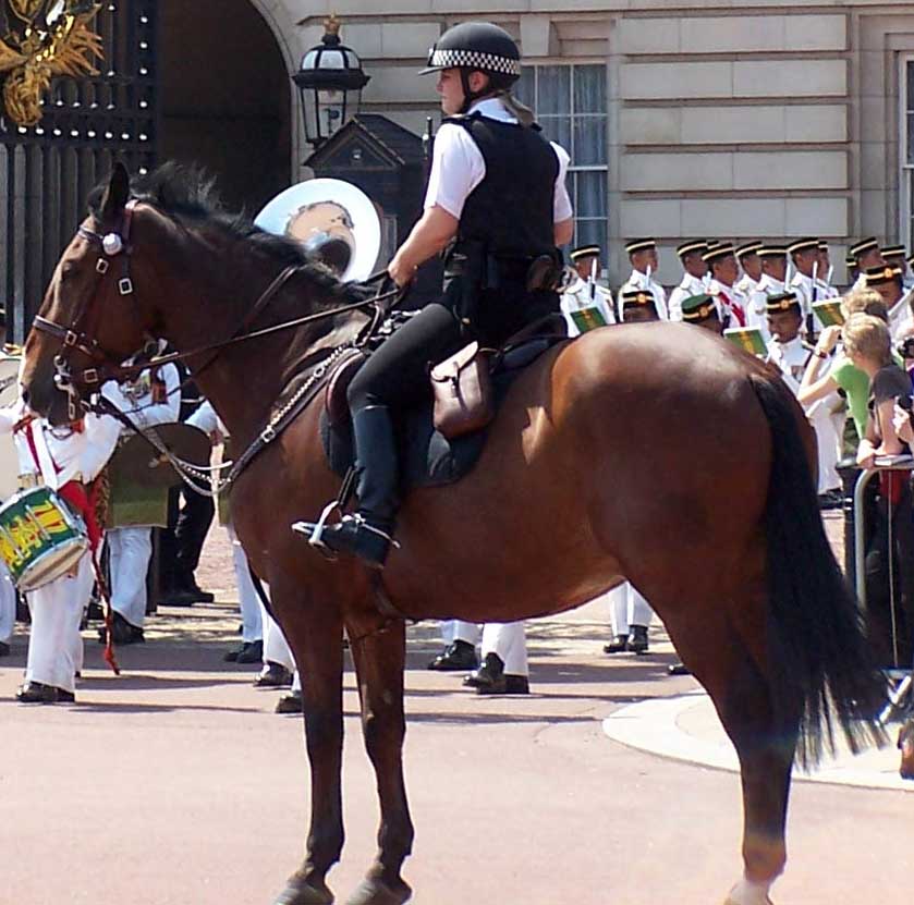 Re: policewomen from around the world 13398-re--policewomen-from-around-the-world.jpg