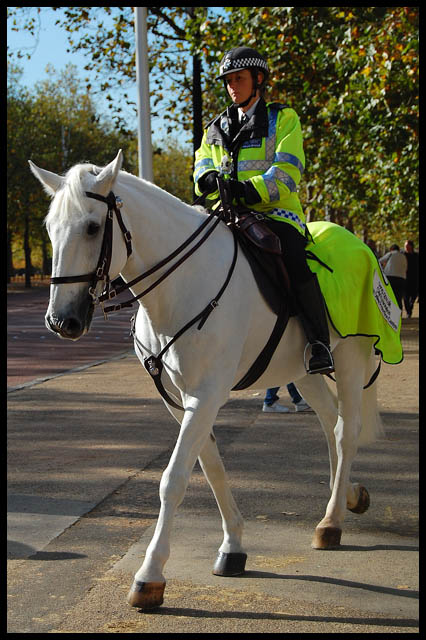 Re: policewomen from around the world 13405-re--policewomen-from-around-the-world.jpg