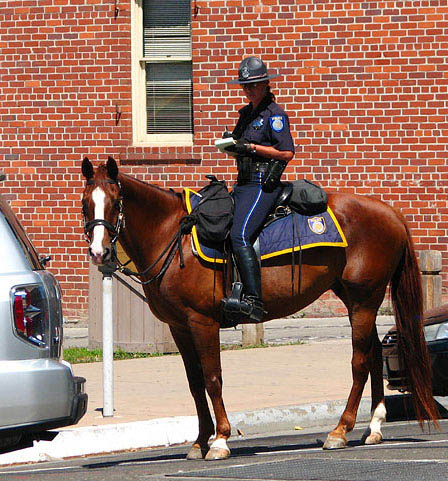 Re: policewomen from around the world 13431-re--policewomen-from-around-the-world.jpg