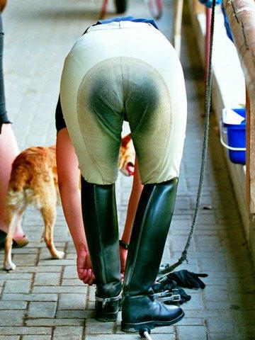 love the arse of her jods 13606-love-the-arse-of-her-jods.jpg