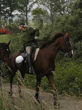 German mounted police... 1361-german-mounted-police---.jpg