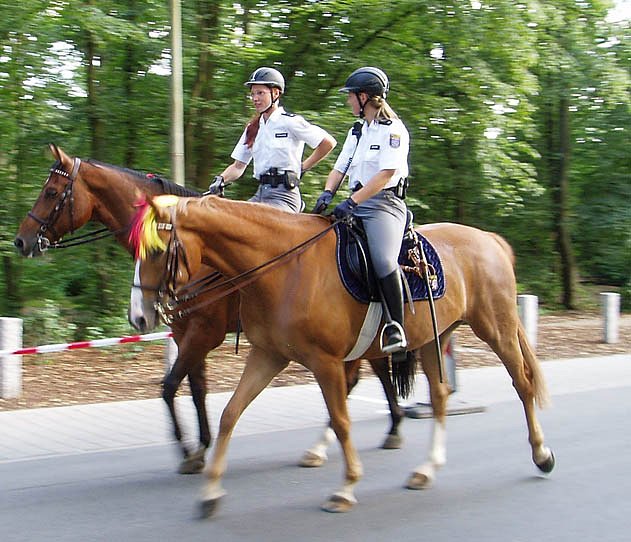 german police 13961-german-police.jpg