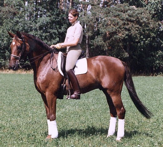 brown leather ridingboots eh wot ? 14088-brown-leather-ridingboots-eh-wot--.jpg