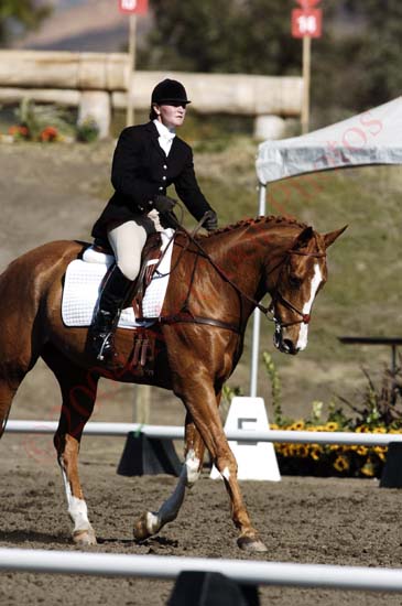 Re: Dressage 1448-re--dressage.jpg