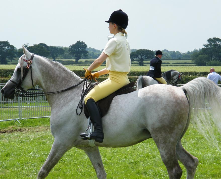 Girls Riding (Introduction) 14652-girls-riding--introduction-.jpg