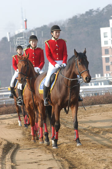 Re: dalian mounted cops 1476-re--dalian-mounted-cops.jpg