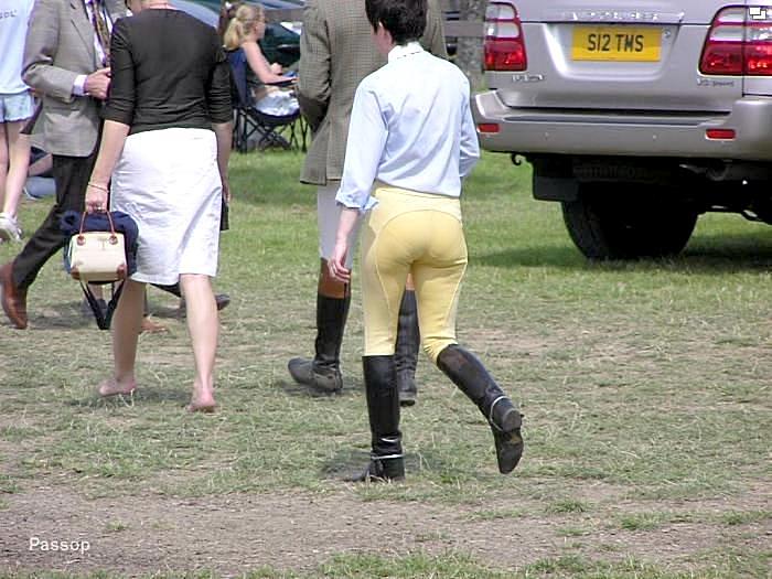 love canary breeches 14803-love-canary-breeches.jpg