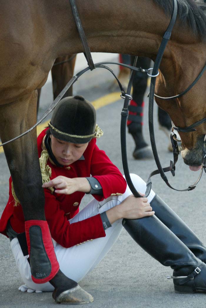 Re: dalian mounted cops 1495-re--dalian-mounted-cops.jpg