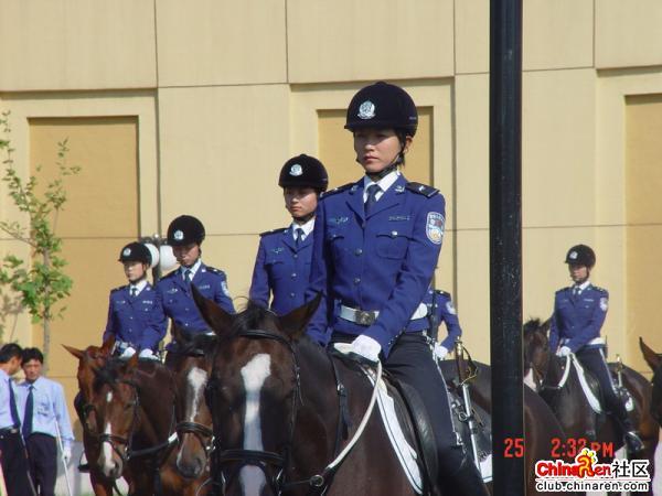 Re: dalian mounted cops 1496-re--dalian-mounted-cops.jpg