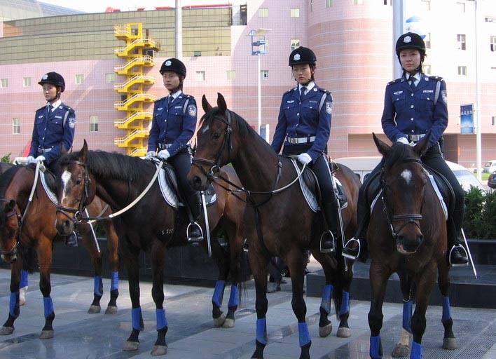 Re: dalian mounted cops 1497-re--dalian-mounted-cops.jpg