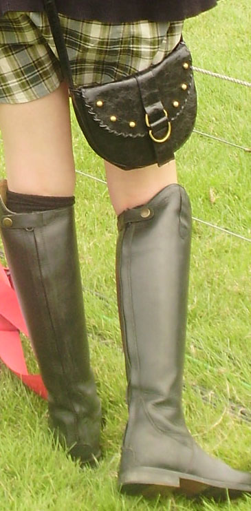 are these ridingboots ? 15411-are-these-ridingboots--.jpg