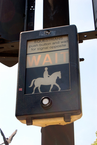 How do Horses cross the road? 15632-how-do-horses-cross-the-road-.jpg
