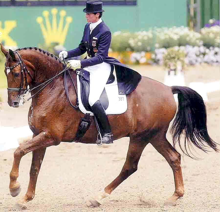 cool dressage 15662-cool-dressage.jpg