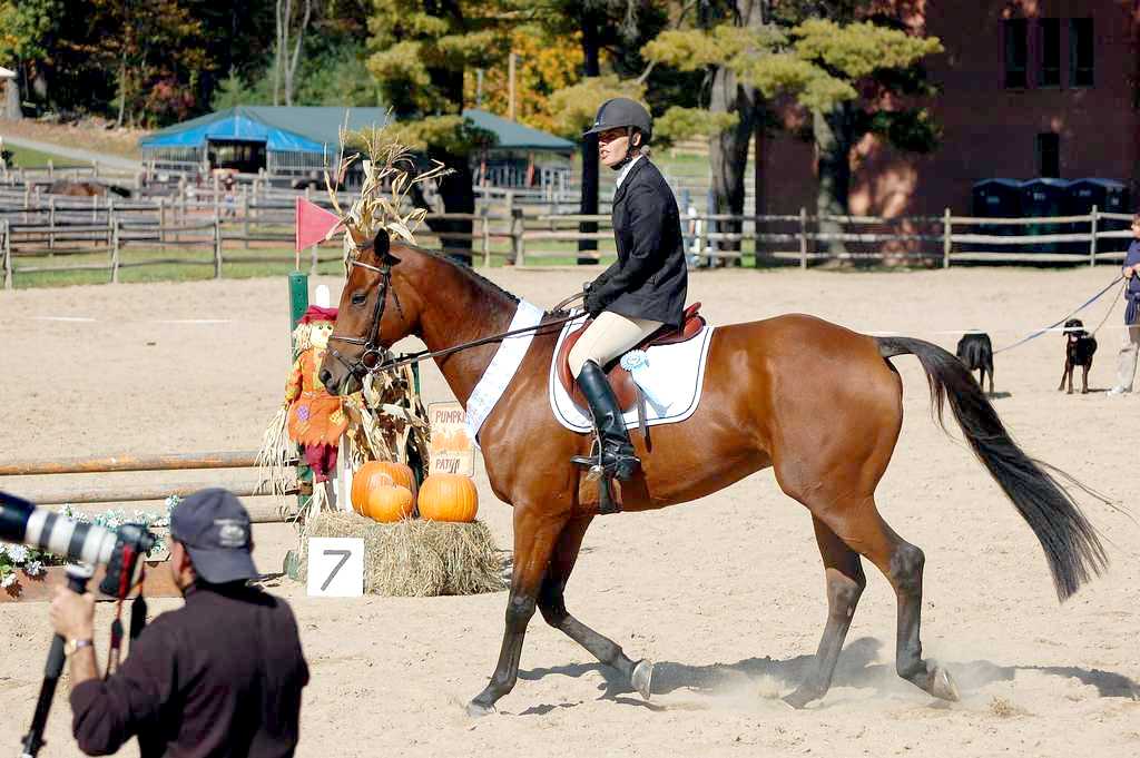 trotting and gabing at the same time 15795-trotting-and-gabing-at-the-same-time.jpg