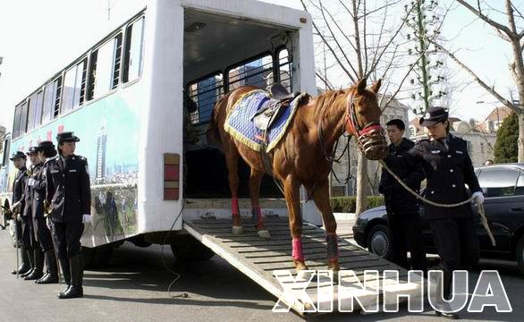 Re: dalian mounted cops 1596-re--dalian-mounted-cops.jpg