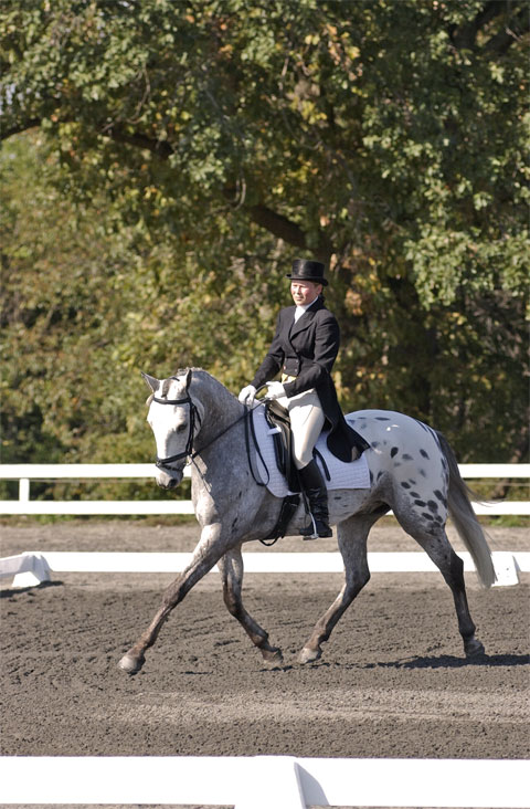 Re: long dressage boots 1651-re--long-dressage-boots.jpg