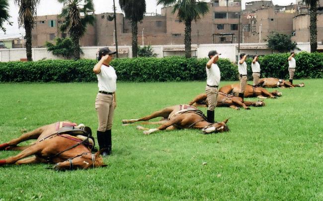 Re: more peru policewomen 16792-re--more-peru-policewomen.jpg