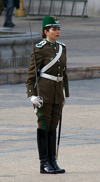 guards at santiago presidents palace 17054-guards-at-santiago-presidents-palace.jpg